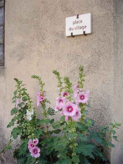 maison d'hôtes