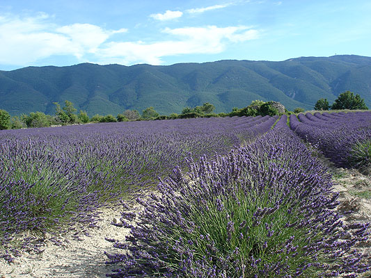 Luberon